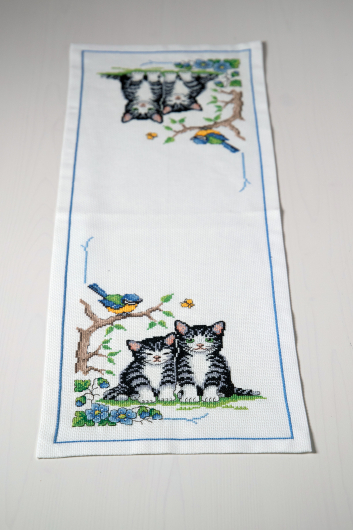 Streifede katter i vårsolen - Løper