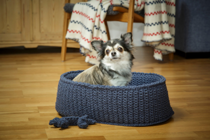 Hundekurv og hundebin