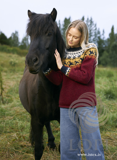 Farfuglar - Strikket genser i Léttlopi