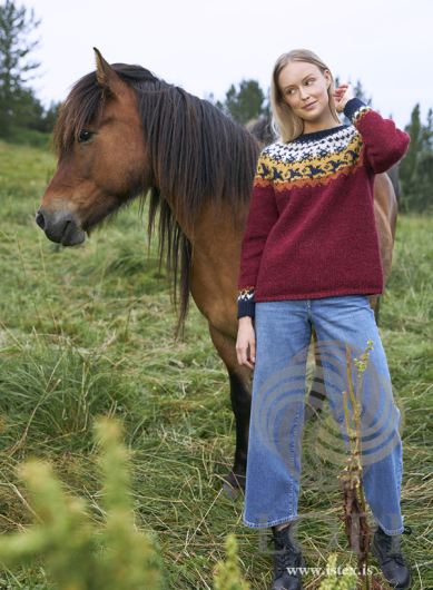 Farfuglar - Strikket genser i Léttlopi