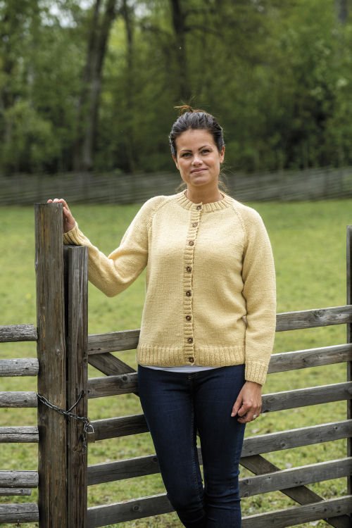 Basisplagg med raglan, i Kambgarn