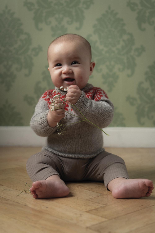Gerbera - babygenser