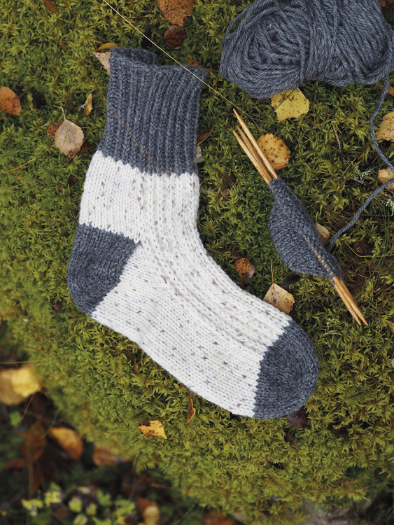 Fjällripa - raggsokker med løftede masker