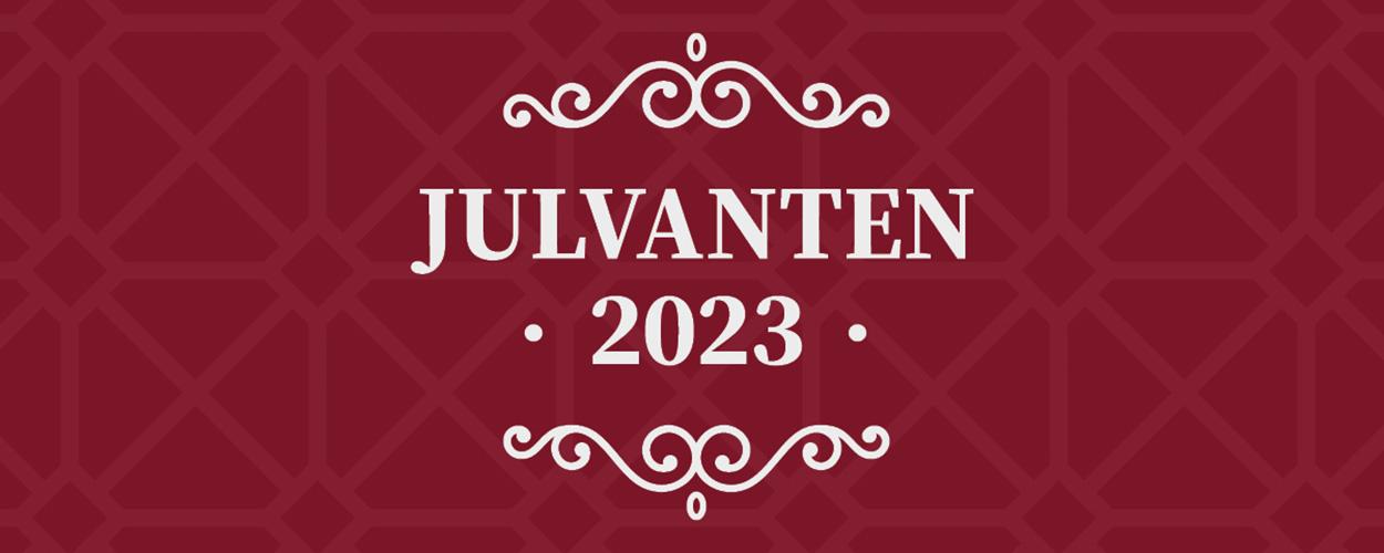 julvanten-500